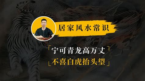 宁可青龙高万丈|解密：宁可青龙高万丈，不可白虎回头望